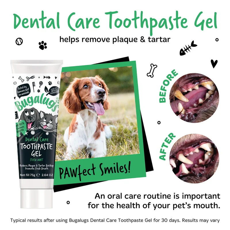 Bugalugs Dental Care Kit 2 For Dogs & Cats 75G
