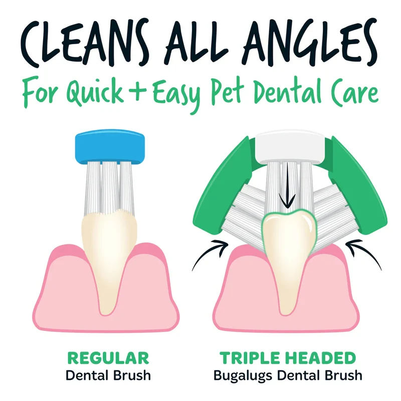 Bugalugs Dental Care Kit 1 For Dogs & Cats 75G