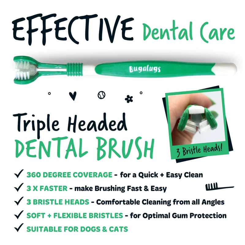 Bugalugs Dental Care Kit 1 For Dogs & Cats 75G