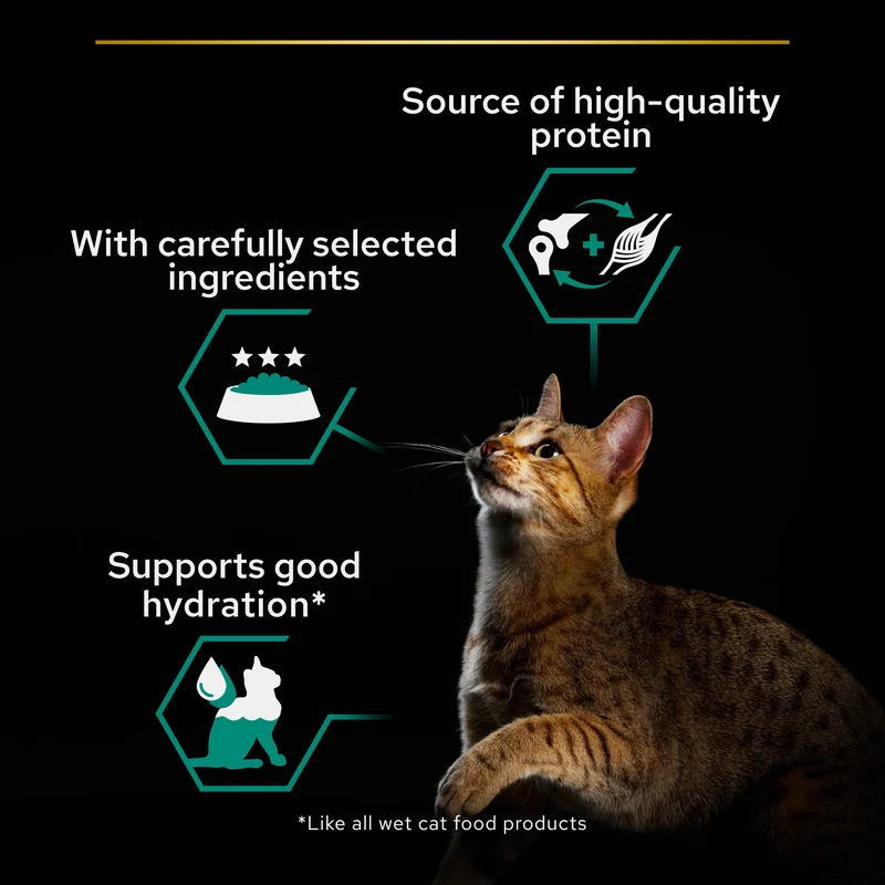 Purina Pro Plan Adult Maintenance Chicken Terrine Wet Cat Food 85G