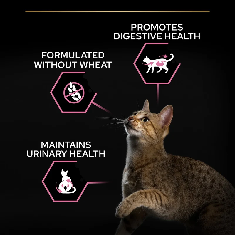 PURINA Pro Plan Sterilised Delicate Digestion With Chicken Adult Dry Cat Food 3KG