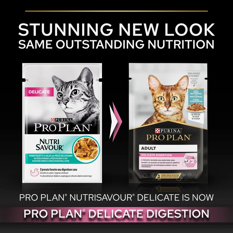 PURINA Pro Plan Delicate Oceanfish In Gravy Multipack Adult Wet Cat Food 10X85G