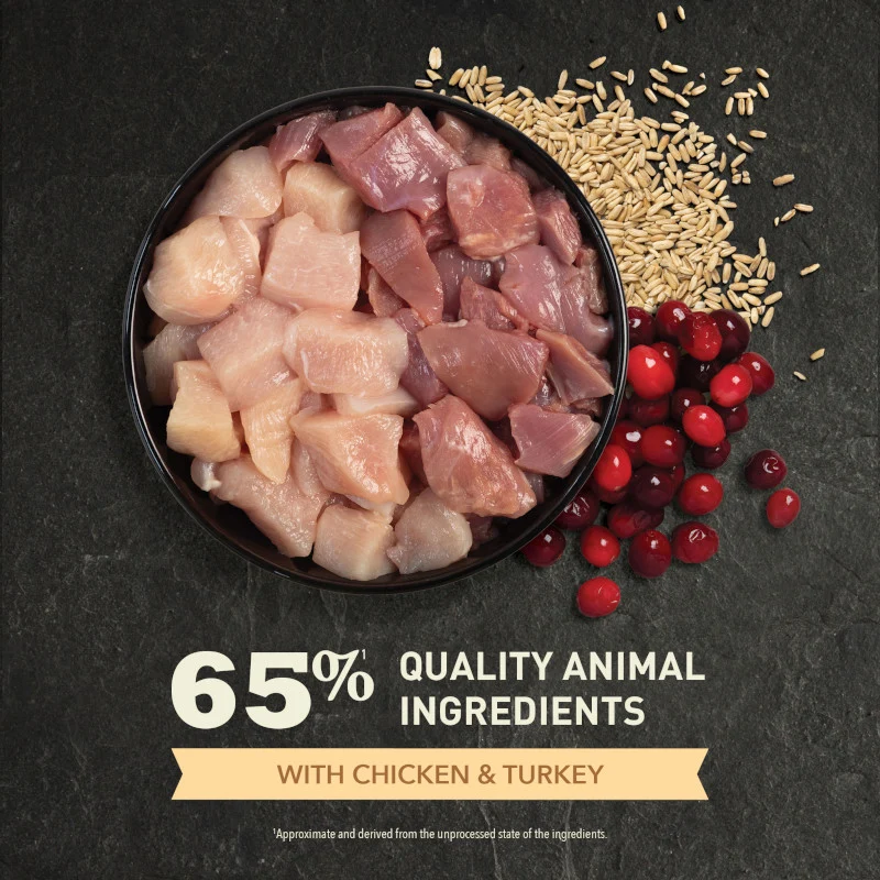 Acana Homestead Harvest Chicken With Turkey Adult Dry Cat Food