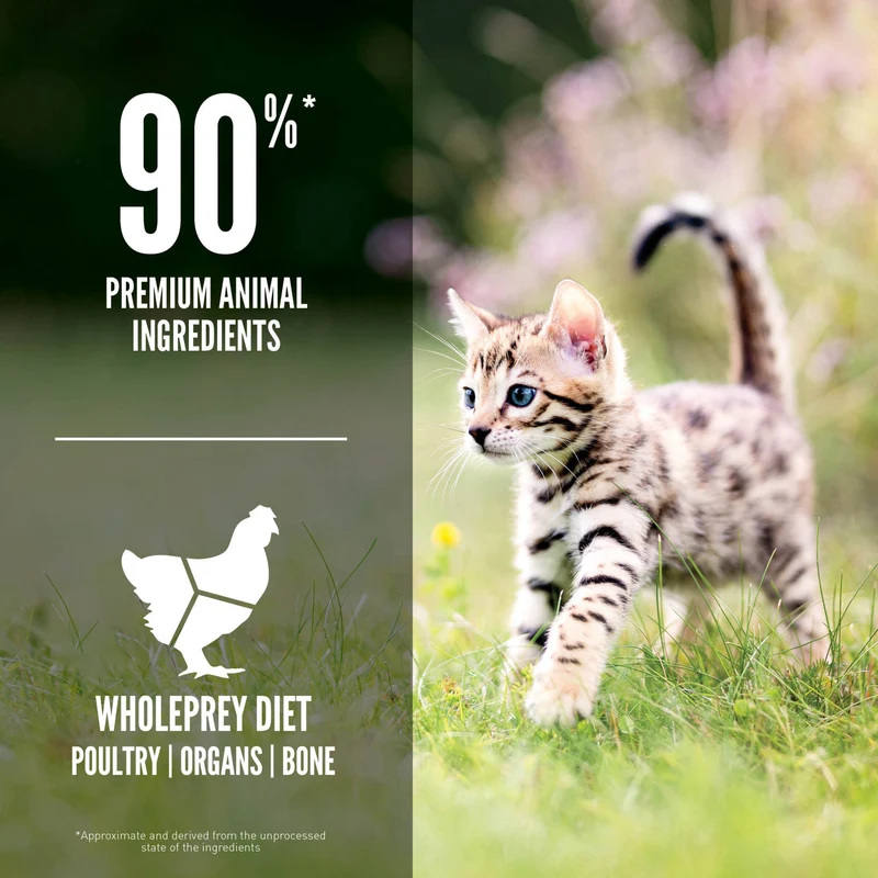 Orijen Kitten Formula - Brain & Muscle Development Cat Dry Food