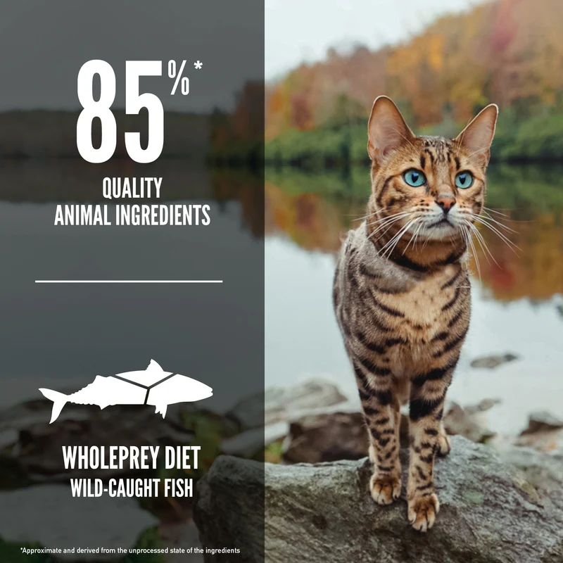 Orijen Six Fish Formula Protein-Rich Diet Cat Dry Food