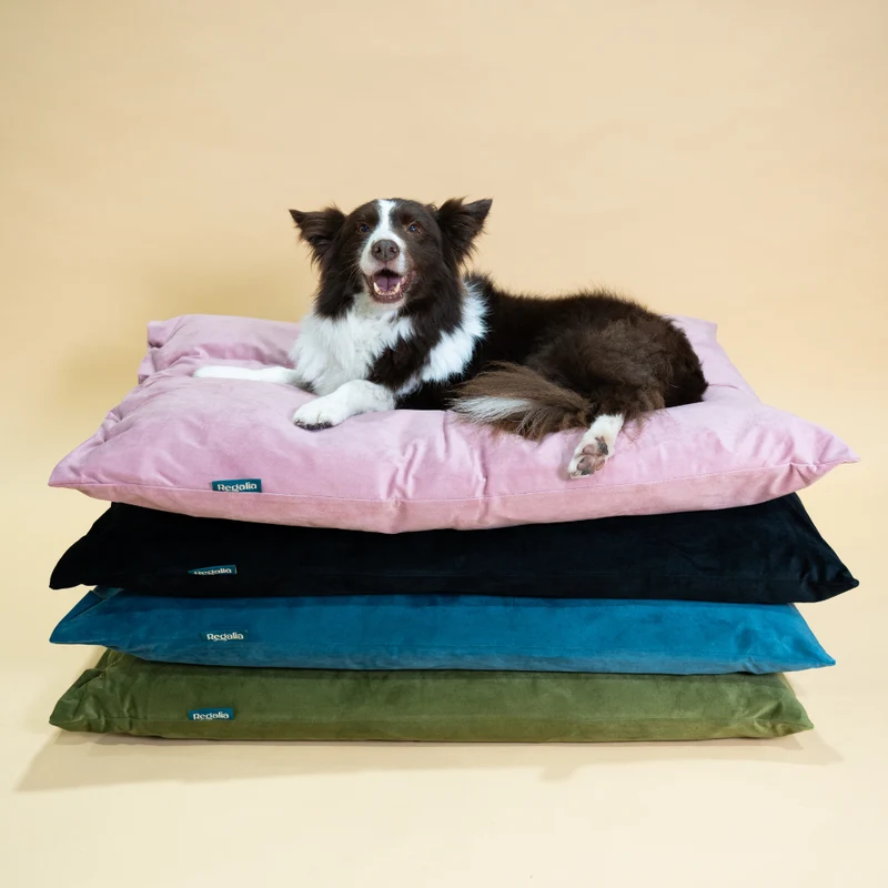 Regalia Velvet Deep Duvet Non-Slip Dog Bed - Black/Medium