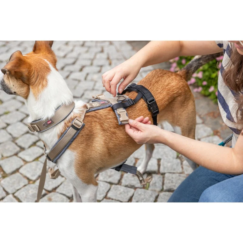 Trixie Panic Adapter Stay for Dog Harnesses - BLACK/L-XL