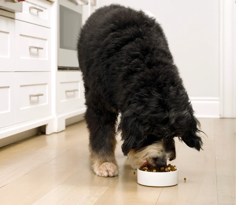 Open Farm RawMix Open Prairie Recipe Dry Dog Food - 1.58KG