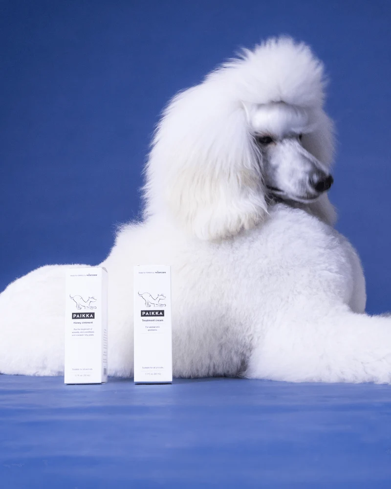 PAIKKA Paw Wax for Dogs - 50ML