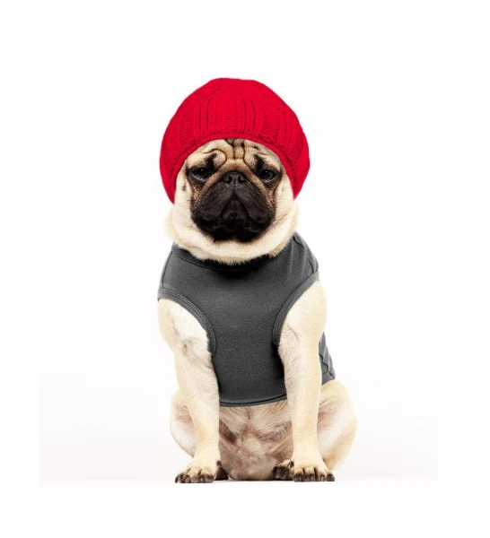 Milk&Pepper ULRIK Tee Sweat Gris Morse Dog Tshirt