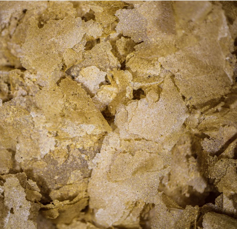 NT Labs Ocean Flake with Garlic Fish Food