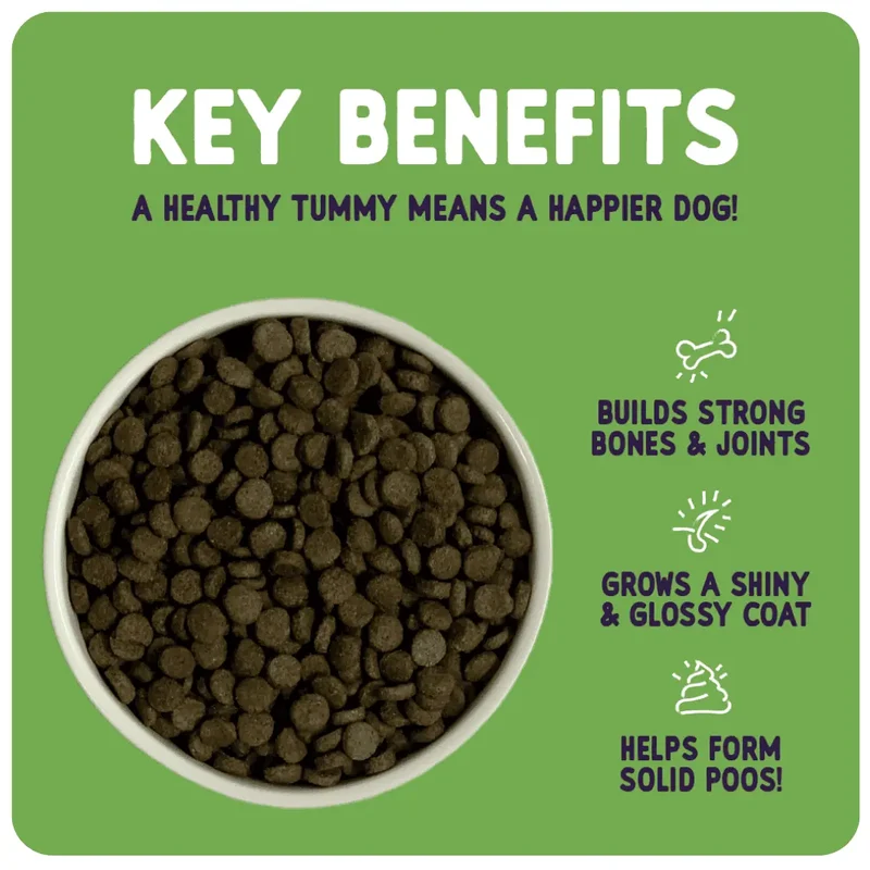 Burgess Sensitive Dry Puppy Food Turkey