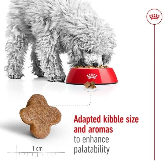 Royal Canin Mini Adult 8+ Dry Dog Food