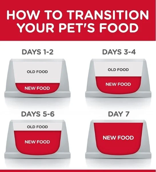 Hill's Science Plan Perfect Digestion Chicken & Brown Rice Cat Dry Food