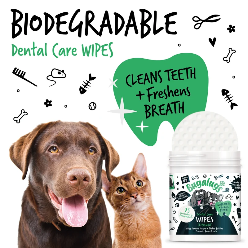 Bugalugs Dental Care Biodegradable Wipes In Fresh Mint For Dogs & Cats 75WIPES