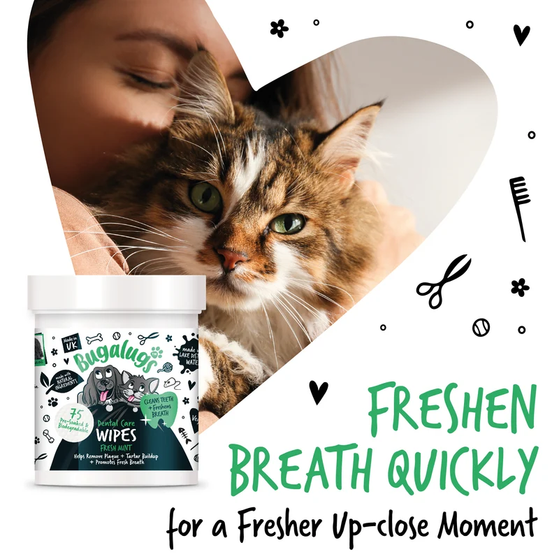 Bugalugs Dental Care Biodegradable Wipes In Fresh Mint For Dogs & Cats 75WIPES