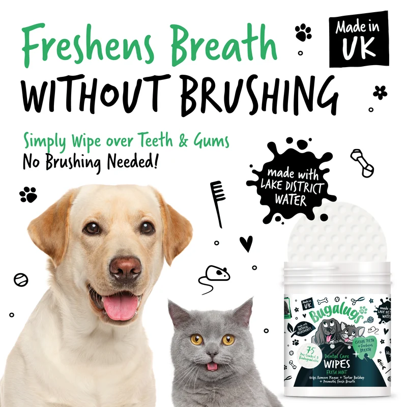 Bugalugs Dental Care Biodegradable Wipes In Fresh Mint For Dogs & Cats 75WIPES
