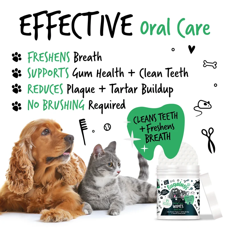 Bugalugs Dental Care Biodegradable Wipes In Fresh Mint For Dogs & Cats 75WIPES