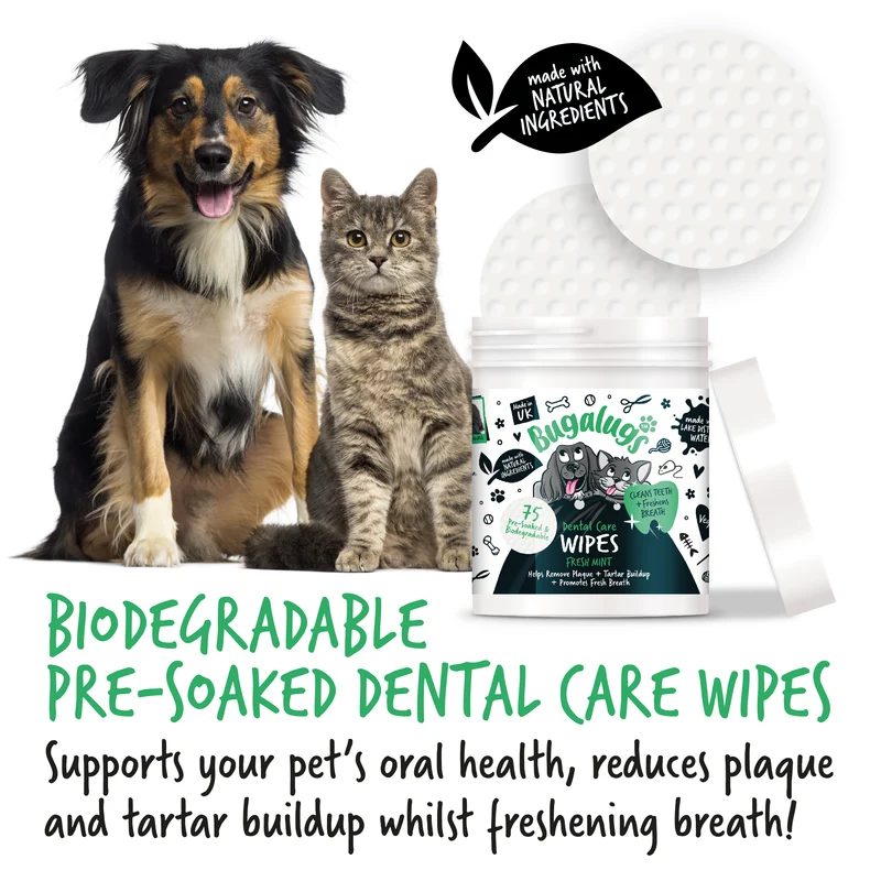 Bugalugs Dental Care Biodegradable Wipes In Fresh Mint For Dogs & Cats 75WIPES