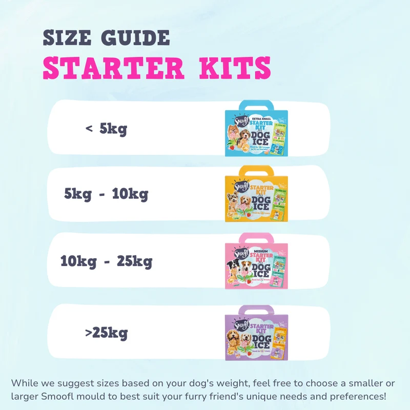 Smoofl Small Starter Kit for Dog Ice Treats - 210G