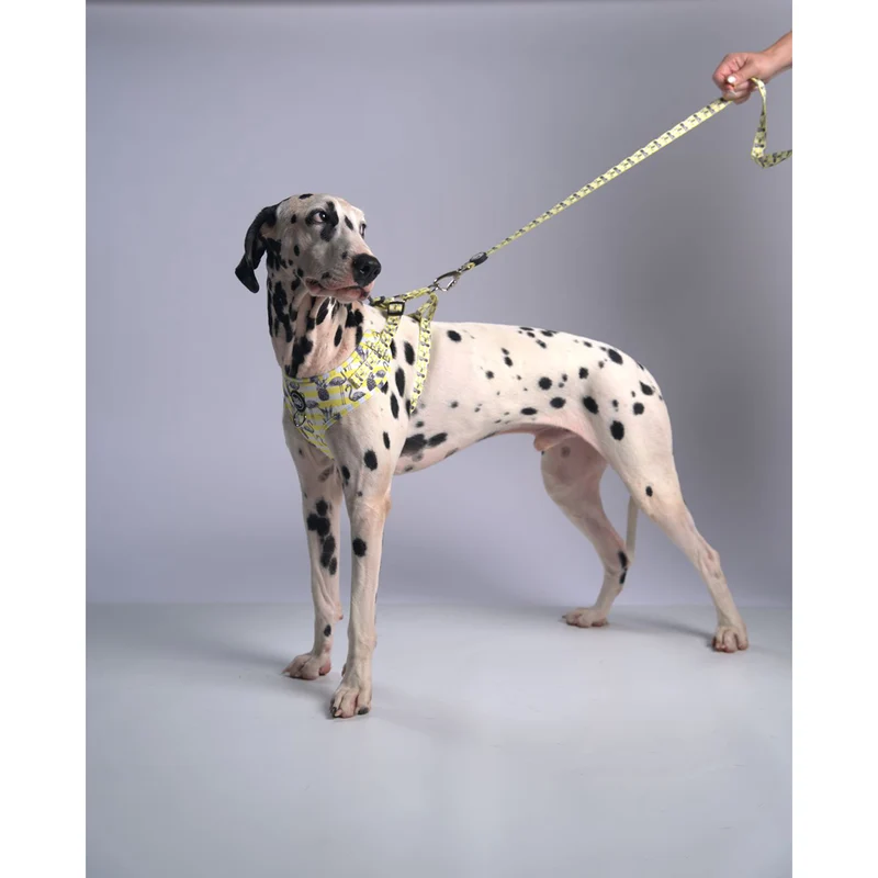 Bud & Billy Dog Harness Adjustable (XXS-XL) - Breathable Vest, Flamingo Collection, Yellow & White Stripes