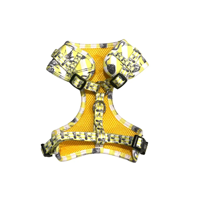 Bud & Billy Dog Harness Adjustable (XXS-XL) - Breathable Vest, Flamingo Collection, Yellow & White Stripes