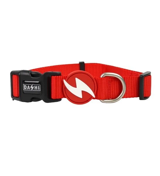 Dashi Solid Collar for Dogs