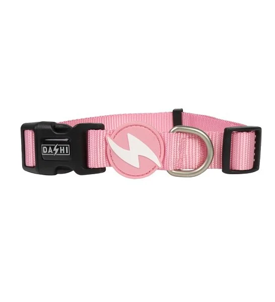 Dashi Solid Collar for Dogs