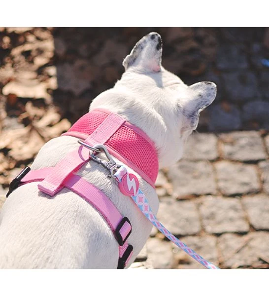 Dashi Coral Neo Mesh Harness for Dogs