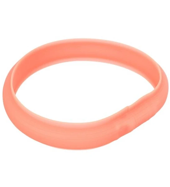 Trixie USB Flash Light Wide Silicone Dog Collar