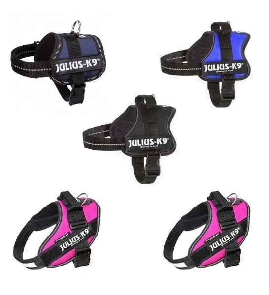 Julius-K9 Power Harness for Dogs