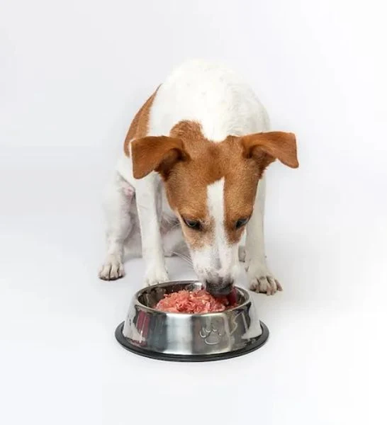 The K9 Kitchen Lamb Raw Complete Dog Food