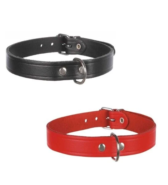 Trixie Basic Leather Collar for Dogs