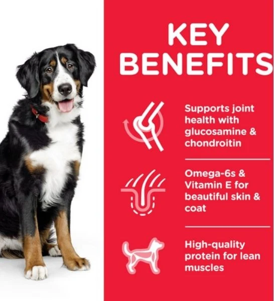 Hill's Science Plan Large Breed Adult Dog Food with Chicken