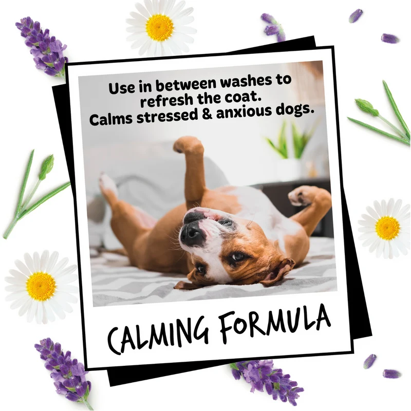 Bugalugs Lavender & Chamomile Dog Deodorising Spray 200ML