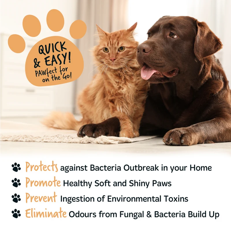 Bugalugs Oatmeal with Coconut & Lime Paw Cleaner No Rinse Foam Shampoo - 200ML