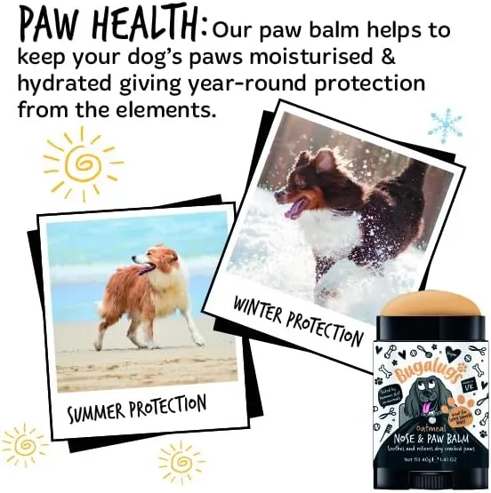 Bugalugs Oatmeal Paw & Nose Balm Stick For Dogs 40G