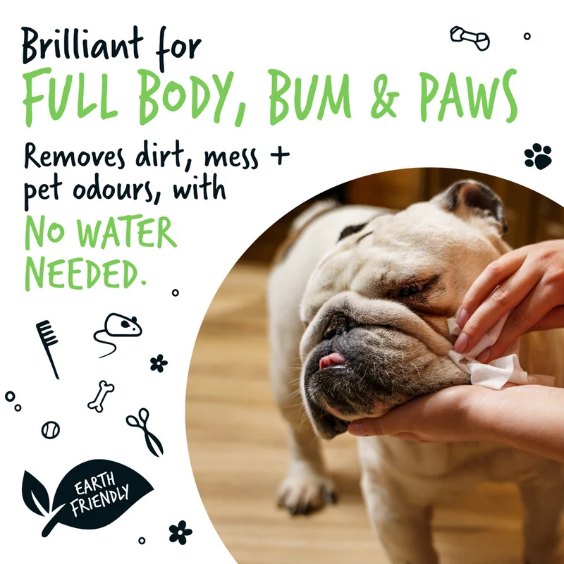 Bugalugs Fragrance Free Biodegradable Dog Wipes 110 WIPES