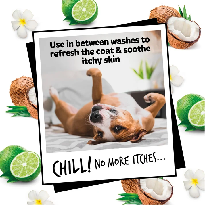 Bugalugs Oatmeal with Coconut & Lime Dog Deodorizing Spray 200ML