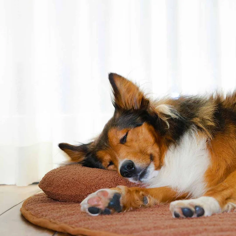 D&D Home Peeble Double Sided Plaid Lying Mat for Dogs 120x95x2cm - Orange