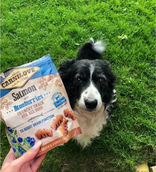 Carnilove Salmon with Blueberries Crunchy Snack for Dogs 200G