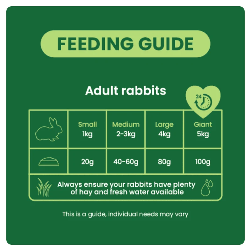 Burgess Excel Nuggets With Mint For Adult Rabbit 1.5KG