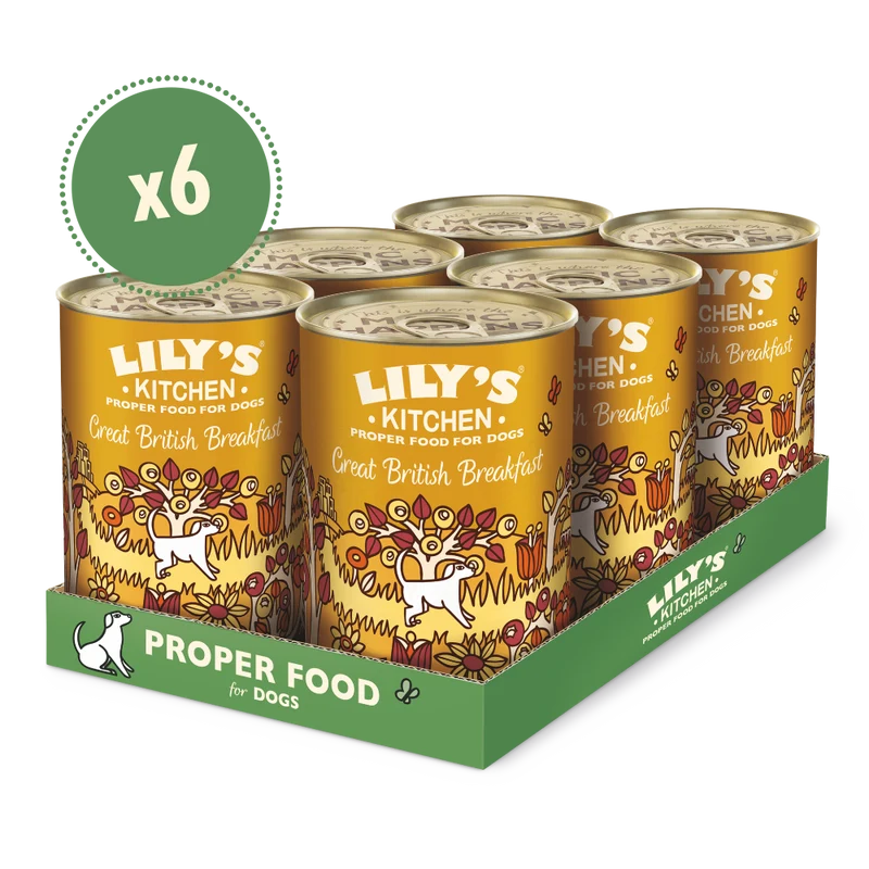 Lily's Kitchen Great British Breakfast Wet Dog Food