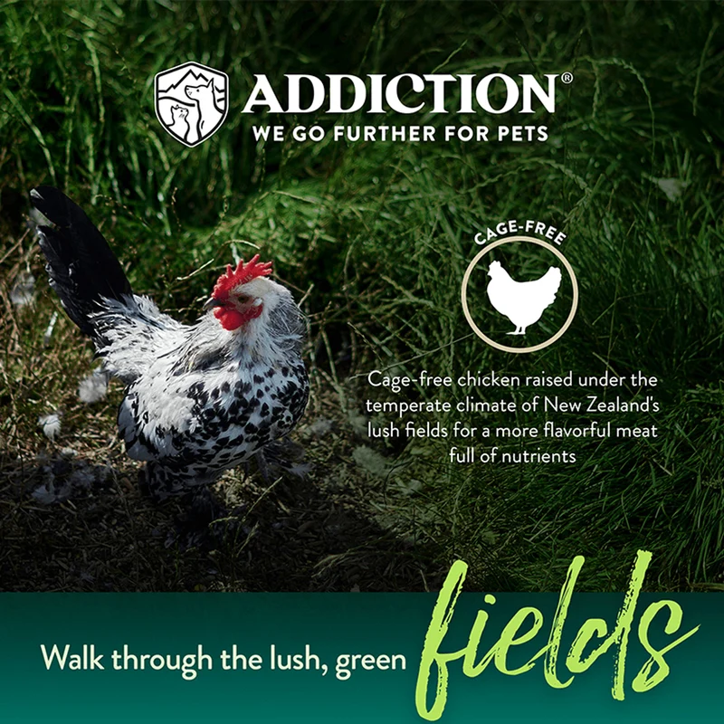 Addiction Meaty Bites Chicken Recipe Cage-Free Dog Treats 4OZ