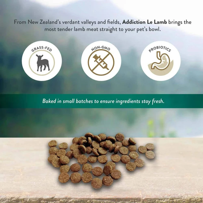 Addiction Le Lamb Grain-Free Skin & Good Digestion Dry Dog Food