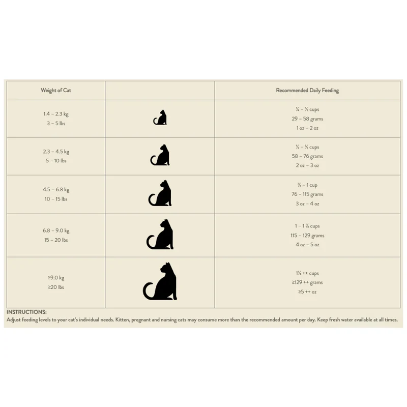 Addiction Chicken Supreme Recipe Grain-Free Ultra High Protein Adult Dry Cat Food
