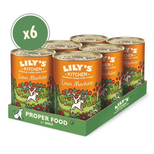Lily's Kitchen Lean Machine Canned Wet Dog Food