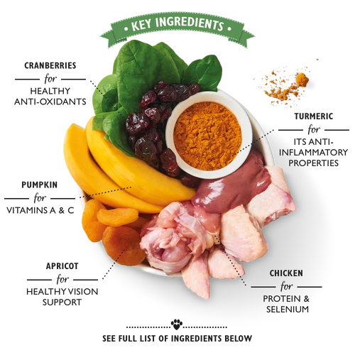 Lily's Kitchen Coronation Chicken Wet Dog Food