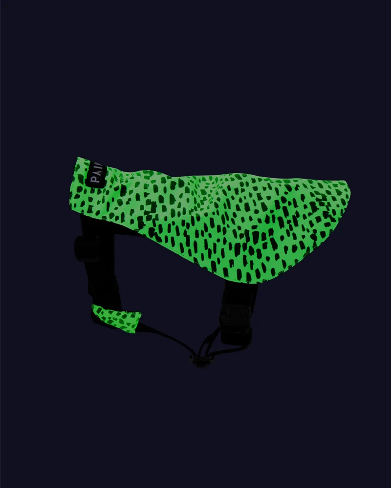 PAIKKA Glow in the Dark Y-Vest 2.0 for Dogs