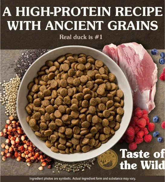 Taste of The Wild Ancient Wetlands with Roasted Fowl Dry Dog Food